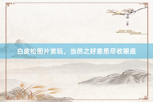 白皮松图片赏玩，当然之好意思尽收眼底