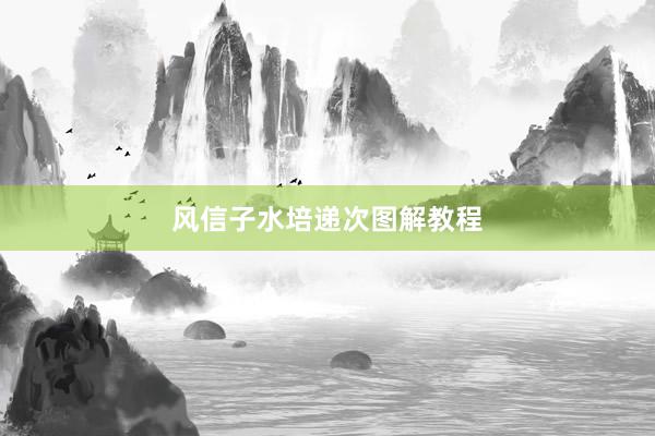 风信子水培递次图解教程