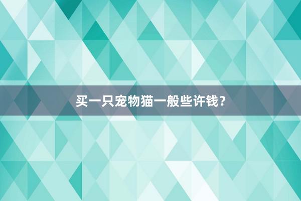 买一只宠物猫一般些许钱?