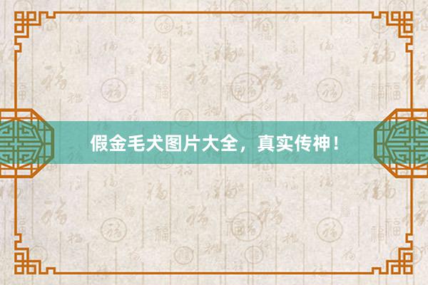 假金毛犬图片大全，真实传神！